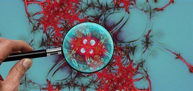 グリア細胞を虫眼鏡で見ている写真
