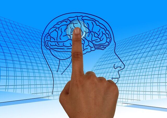 脳が描かれているイラストに脳の真ん中を指さしている合成画像