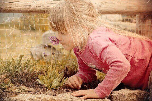 女の子が花に近づき匂いを嗅いでいる写真