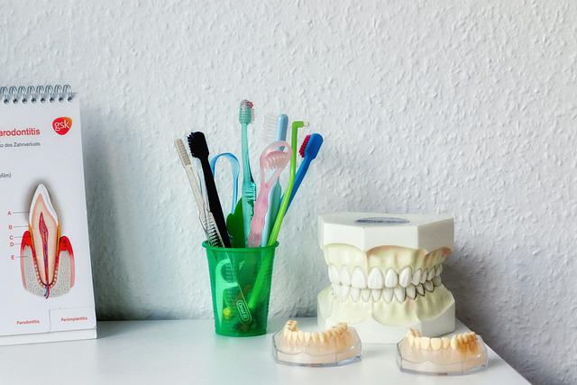 コップの入れ物に入った何種類かの歯ブラシと歯の模型が並ぶ写真