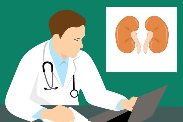 腎臓とパソコンを前に診断する医者のイラスト